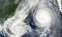 Аграриям Приморья причинен ущерб на сумму 837 млн рублей от тайфуна