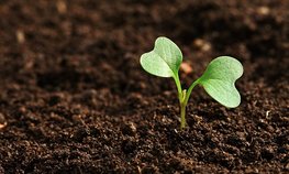 НСА и Бурятия намерены продлить проект по агрострахованию на 5 лет