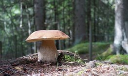 В Забайкальском крае обсудили актуальные вопросы развития сельхозпотребкооперации