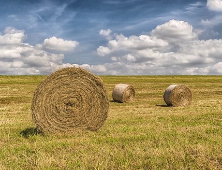 Кредитование сезонных полевых работ выросло на 36 %