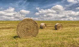 Кредитование сезонных полевых работ выросло на 36 %