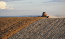Аграрии Алтайского края сэкономили 894 млн рублей при покупке отечественной сельхозтехники