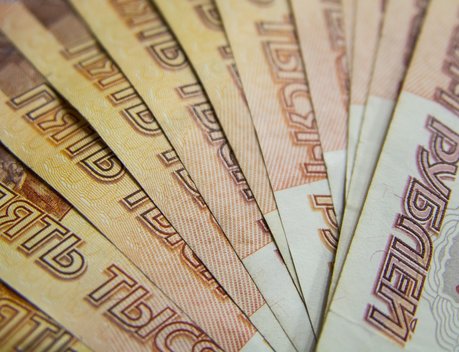 Господдержка АПК Рязанской области составила 3,1 млрд рублей