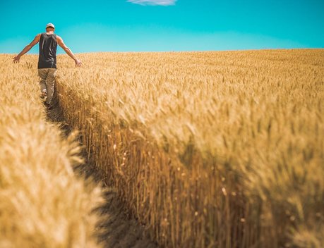 На поддержку экспорта продукции АПК выделят более 406 млрд рублей до 2024 года