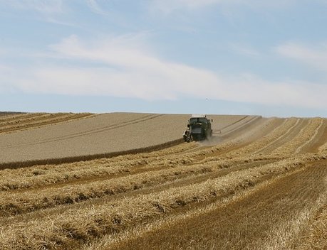 Аграрии Алтайского края при покупке отечественной сельхозтехники сэкономили более 1 млрд рублей