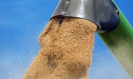 Новосибирская область получит субсидии на ж/д перевозки зерна в 2019 году