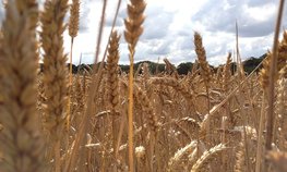 В Ульяновской области оказывают поддержку сельхозтоваропроизводителям