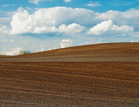 Аграрии Татарстана получат региональную поддержку на приобретение минеральных удобрений