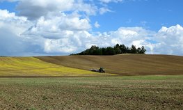 Кредитование сезонных полевых работ увеличилось почти на 28 %