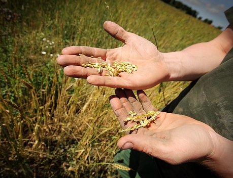 Более 7 млн рублей выделят на поддержку фермерства и развитие сельхозкооперации в Тверской области