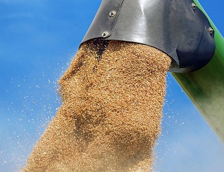 Правительство утвердило правила предоставления субсидий на ж/д перевозки зерна