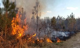 Компенсации пострадавшим в результате ЧС аграриям Забайкальского края будут выплачены до 15 июня 2019 года