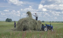В Орловской области более 333 млн рублей направят на поддержку фермерства
