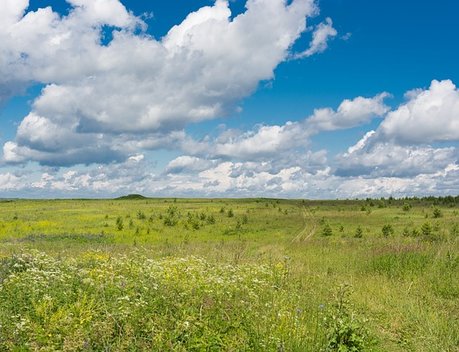 Получателям «дальневосточного гектара» предоставлено около 580 млн рублей господдержки