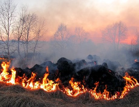 Более 714 рублей получили пострадавшие в результате ЧС аграрии Забайкалья