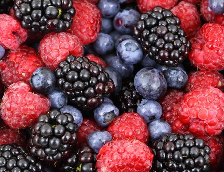 Законопроект о снижении НДС для плодово-ягодных культур принят в первом чтении