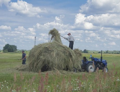 Почти 70 млн рублей получили калужские фермеры на реализацию агростартапов