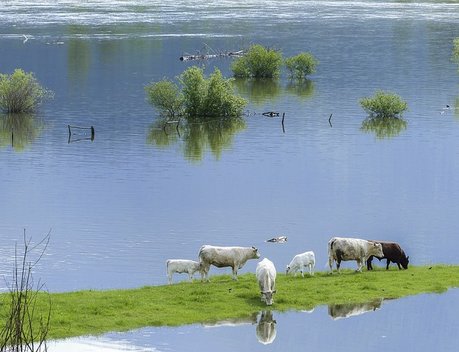 Аграриям Приморья направят почти 440 млн рублей на компенсацию ущерба от ЧС