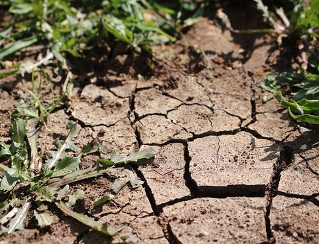 Пострадавшие от засухи аграрии Забайкалья получат компенсации до конца года