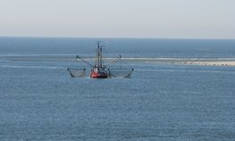 Утверждены правила предоставления субсидий на строительство рыбопромыслового флота