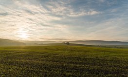 Увеличение господдержки агрострахования может обеспечить защиту 17% посевов Ставрополья