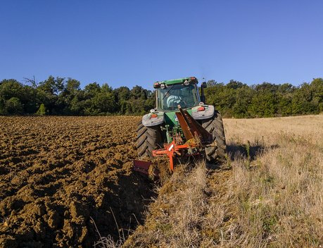 В Краснодарском крае на развитие растениеводства направят 2,2 млрд рублей