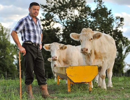 Власти Северной Осетии поддержат развитие сельского хозяйства и агротуризма в горах