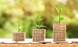Регионы довели до аграриев 11,6 % федеральных субсидий