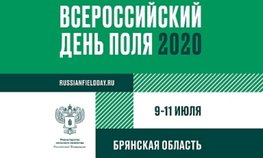 Выставка «Всероссийский день поля» представляет новейшие достижения селекции и сельхозмашиностроения