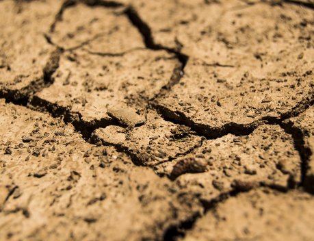 В Челябинской области объявлен режим ЧС из-за засухи