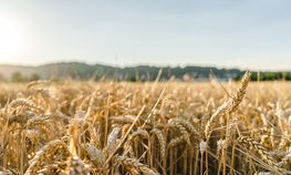 Минсельхоз России подвел итоги шести лет действия продэмбарго