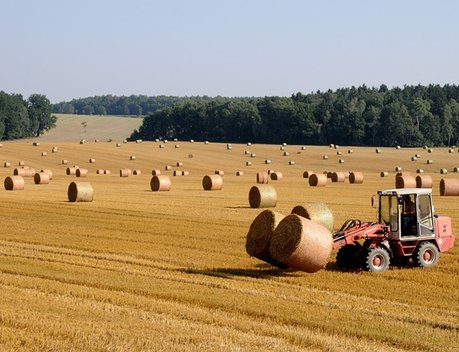 Регионы довели до аграриев 64,4 % федеральных субсидий