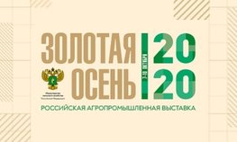 Выставка «Золотая осень – 2020»