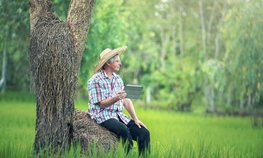 Россельхозбанк подключит более 50 тыс. фермеров к экосистеме для цифровизации АПК