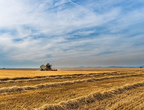 Около 6 млрд рублей господдержки получили аграрии Подмосковья с начала года