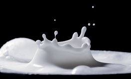 Для минимизации затрат при введении обязательной маркировки молочной продукции разработан дополнительный комплекс мер господдержки