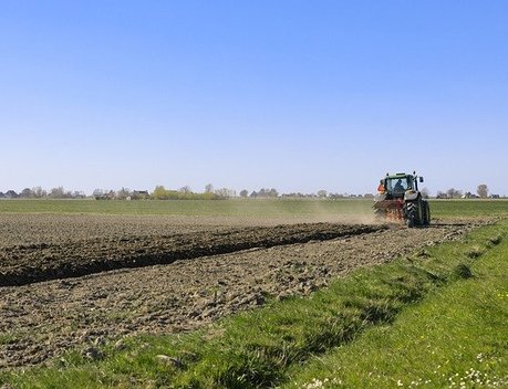 Нижегородские аграрии вернули в производство 25 тыс. га залежных земель в 2020 году