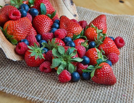 В России собран рекордный урожай плодов и ягод