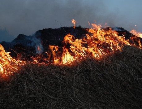 Хозяйства, допускающие сельхозпалы, могут лишить субсидий