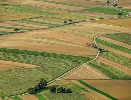 Пензенская область планирует ввести в оборот 31 тыс. га сельхозземель