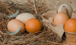 Минсельхоз ожидает полной самообеспеченности куриным пищевым яйцом в 2021 году