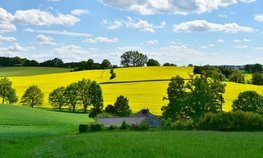 Фермерам разрешат строить дома на сельхозземлях