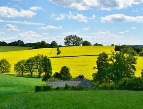 Фермерам разрешат строить дома на сельхозземлях