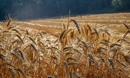 Кредитование сезонных полевых работ увеличилось на 28,8 %