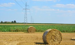 Кредитование сезонных полевых работ увеличилось на 29 %