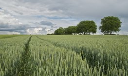 Агрострахование в Забайкалье за год выросло на 20 %