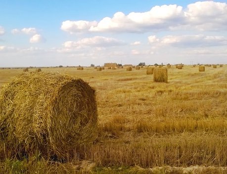 Кредитование сезонных полевых работ увеличилось на 25,7 %