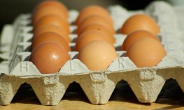 Сельхозпроизводителям Ставрополья выплатили субсидии на реализацию яиц