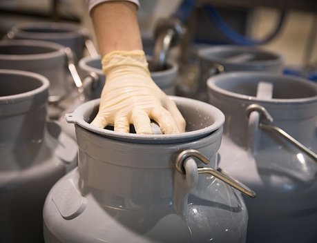 Якутия планирует увеличить объемы заготовки молока