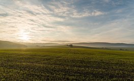 В России начался сев ранних яровых культур